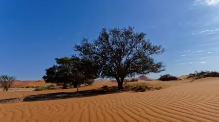 Guaranteed Paid Work in Australia before you leave home !