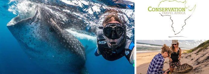 Scuba Diving, Research and Marine Conservation